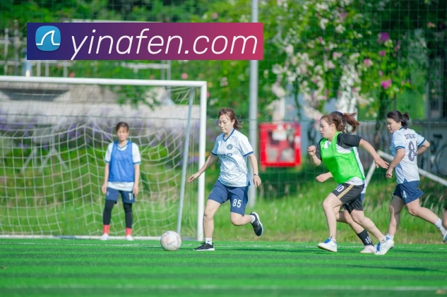 MK体育平台生态图